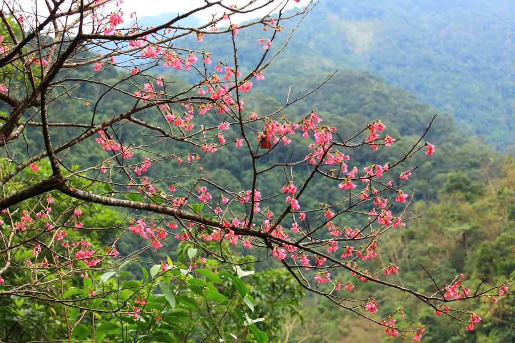 Spring Spa Hotel Wulai Eksteriør bilde