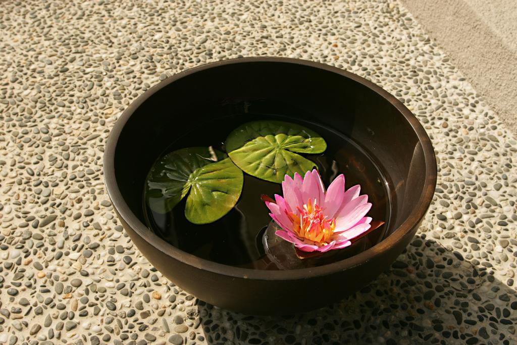 Spring Spa Hotel Wulai Eksteriør bilde